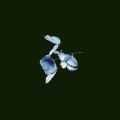 AD钙 - 输入法打可爱按第五