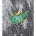 산울림 - 배추꽃 메밀꽃