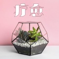 治愈系BGM - 疗愈