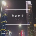 V何杰V - 想你的夜