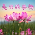第一次日出 - 啊育吠陀