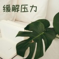 安静的轻音乐 - 办公室LOUNGE