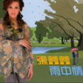 张蓉蓉 - 雨中情