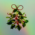 Cardo Grandz - This Xmas