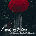 SPA、Spa Music Kingdom、Meditation and Stress Relief Therapy - Genial Blow