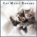 Cat Music Dreams、Cat Music Experience - Pet Relaxation Music For Dogs and Cats
