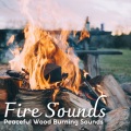 Natural Woodland Sounds、Alpha Waves Concentration、Best Relaxing Spa Music - Kindling Lumber