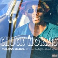 Chuck Norris (feat. Themba M VuciRain & Sayfar)