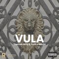 Themba Da DJ、Mac24、truth - Vula (feat. Mac24 & Truth)(Explicit)