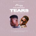 BAGY、Kweku Bany - Tears