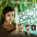 Preethi Endarenu