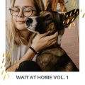 Sleeping Music For Dogs、Dog Music Therapy、Music for Dog's Ears - Lovely Dog Dreams of Playing while Mistress is Working