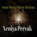 Xeniya Pervak - Overt Indecision