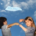 Daisy the Great - little dove