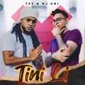 DJ ANI、TEY - TINI LI (feat. TEY)