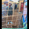 Cire - Monday to Sunday
