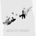 Never Say Goodbye