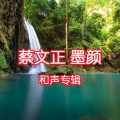 蔡文正 - 让我们看云去