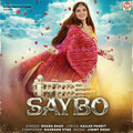 Saybo