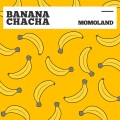 바나나차차 (BANANA CHACHA)