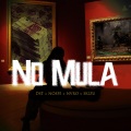 Skizu、DST、nvro、Nosfe - No Mula (feat. DST Nosfe & NVRO)(Remix|Explicit)