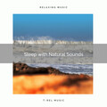 Baltic Nature Sounds - Experience Unique Sleep with Calm Nature Sounds for Naps pt. 2