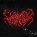 SHX SHINJX、BABYRONIN、ZEETERNAL - SACRXSANCT (Explicit)