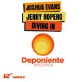 Joshua Evans、Jerry Ropero - Diving In (Original Mix)