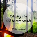 Natures Orchestra、Binaural Boy、Relaxmydog - Fire