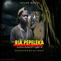 DJ TAKIE RECORDS、Baby M - Vhazha mrepa (pepeleka)(feat. BABY M)