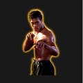 bruce leroy (Explicit)
