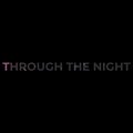 Through The Night (feat. Stephen Witt)