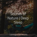 Sleepy Times、Sons da Natureza & Relaxamento、The Sleep Specialist - Meditating Music