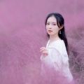 羽音未了 - 折枝花满衣