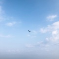 赵世聪 - 起风了