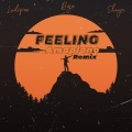 Feeling (ShaynRemix)