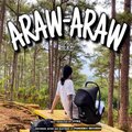 Herb - ARAW-ARAW
