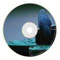 DJ Biopic - My Bird Named Blue