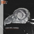 5005、Pope - PERDÓN (Explicit)