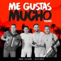 Me Gustas Mucho (Remix)