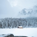 Sleepy Times、Nature Sound Series、Rain for Deep Sleep - Solar Drift