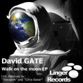david gate - Walk on the moon
