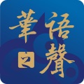 肖鑫 - 相思无用