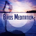 Zen Meditation and Natural White Noise and New Age Deep Massage - Birds Sounds