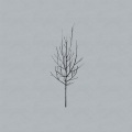Low - Gentle