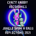 Crazy Rabbit Recordings Jungle Drum and Bass Reflections 2021 (Explicit)
