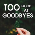 Too Good At Goodbyes