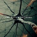 The Narrow Surfaces