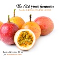 Belinha Bossa Duo、Robertinho De Paula、Maya Solovéy、Vitor Goncalves - How Insensitive
