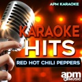 APM Karaoke - Around the World (Karaoke Version)